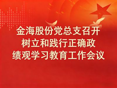 金海股份党总支召开树立和践行正确政绩观学习教育工作会议